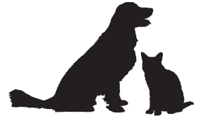 ドキャットロゴ